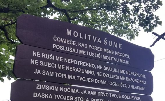 Molitva šume