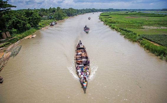 Brodom na stočnu tržnicu, Bangladeš - 4