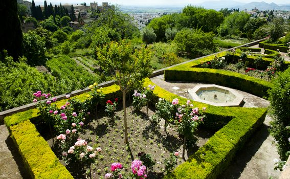 Alhambra - 5