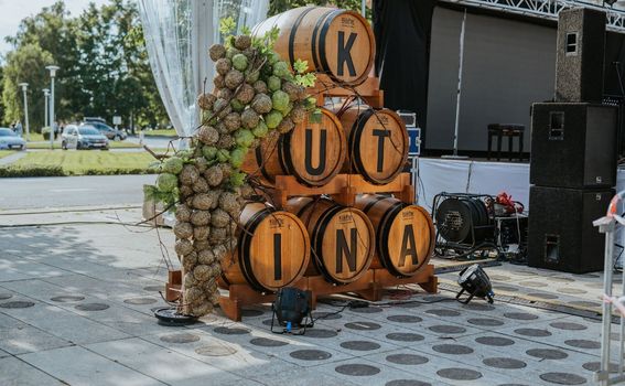 Festival MoslaVina - 4
