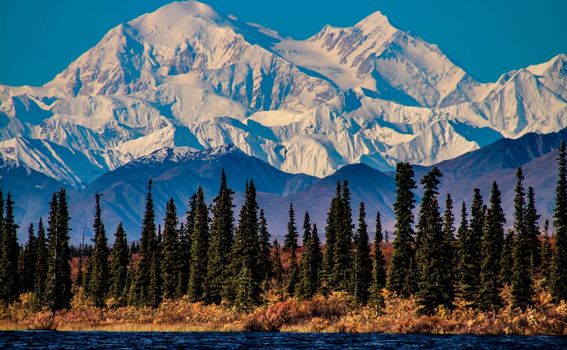 Denali - 1