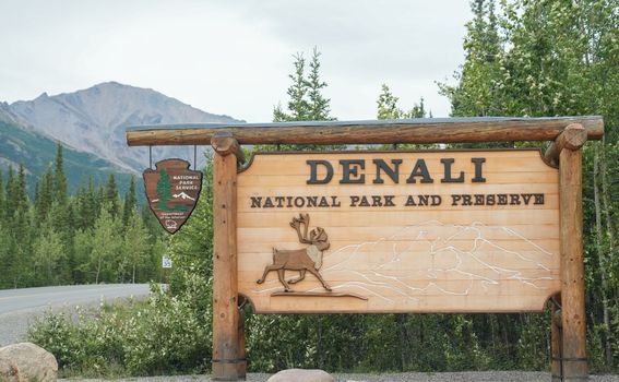Denali - 3