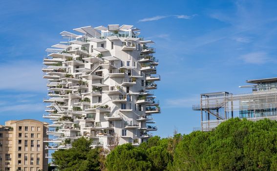 Bijelo stablo u Montpellieru - 1