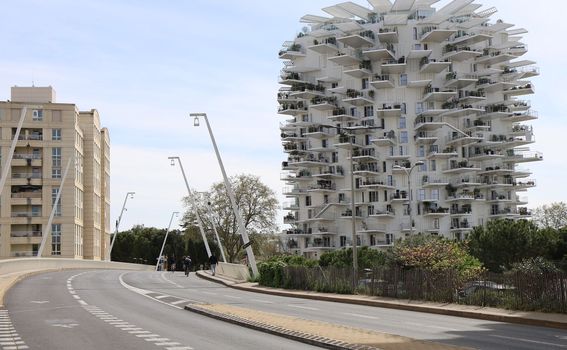Bijelo stablo u Montpellieru - 2