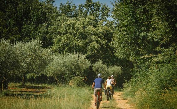 Gourm-E-bike Istra - 1