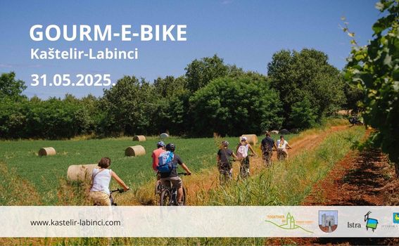 Gourm-E-bike Istra - 3