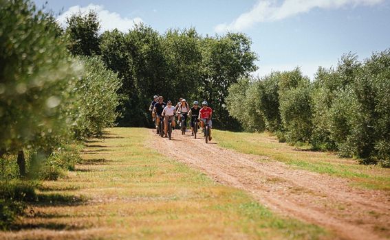 Gourm-E-bike Istra - 6
