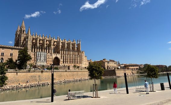 Palma - 4