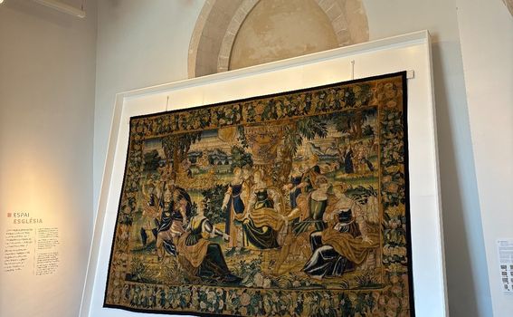 Palma - 5