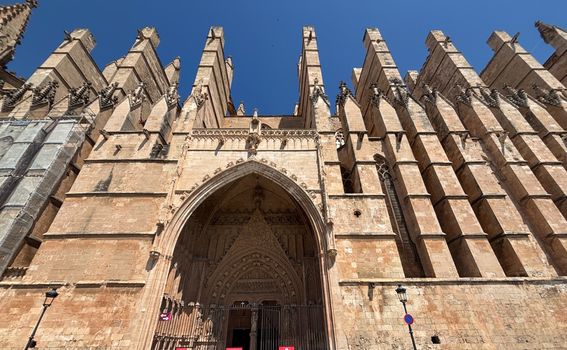 Palma - 7