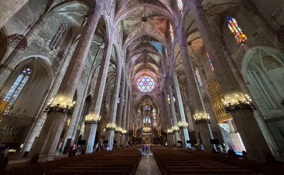 Palma - 8