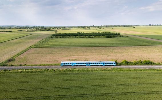 Slow wine train - 10
