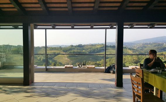 Pogled na vinograde s terase vinarije Jakončić