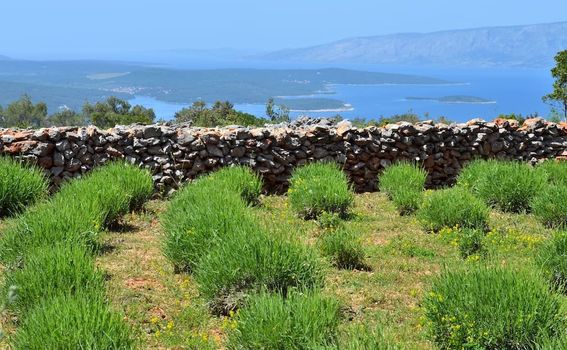 Eko-etno kuća u Humcu na Hvaru - 15