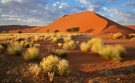 Pješčane dine u Namibiji - 4