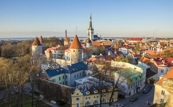 Tallinn