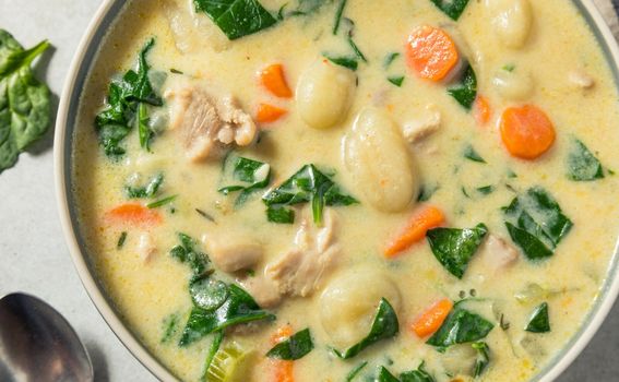 Kremasto varivo s piletinom i njokima