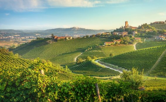 Pijemont je poznata vinorodna regija u Italiji