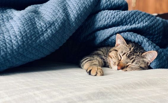 Novi kviz općeg znanja - 10