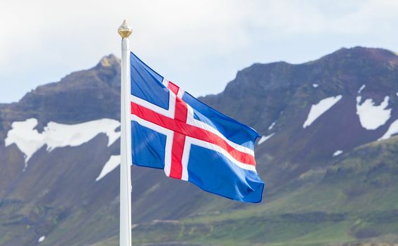 Novi kviz općeg znanja - 12