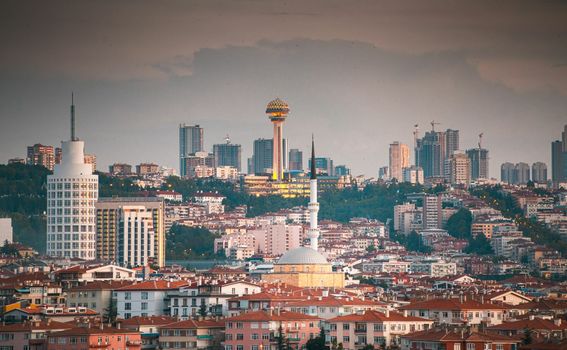 Kviz općeg znanja - 13