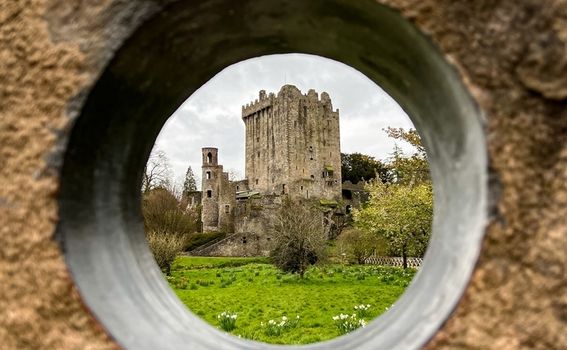 Blarney - 8
