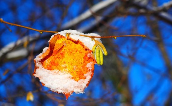 Zima u Samoborskom gorju - 6