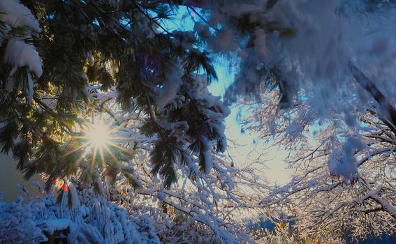 Zima u Samoborskom gorju - 7