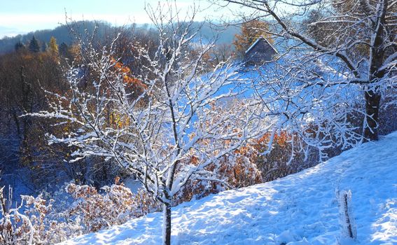 Zima u Samoborskom gorju - 8