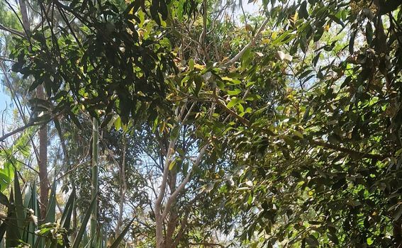 Putopis Tanzanija - 2