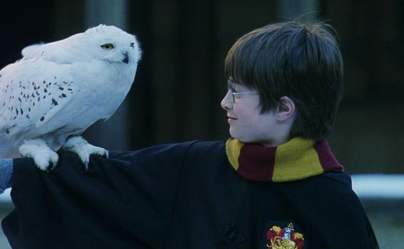 Harry Potter i Kamen mudraca