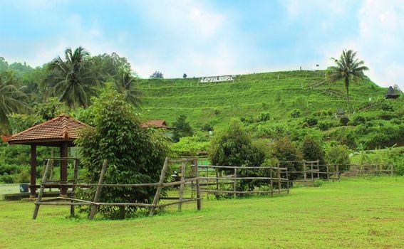 Zeleni brežuljci u Gunungkidulu