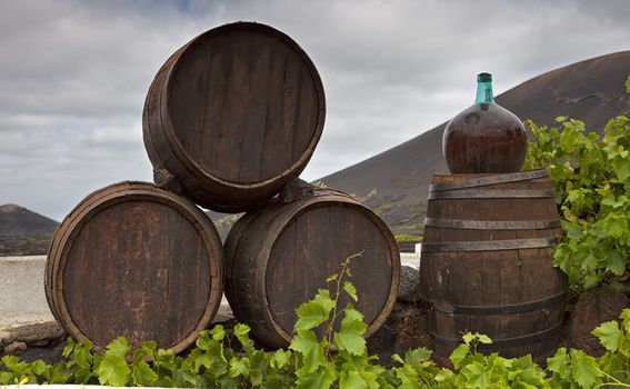 Lanzarote otok i vinogradi - 2