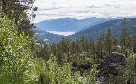Norveški rezervat Trillemarka-Rollagsfjell