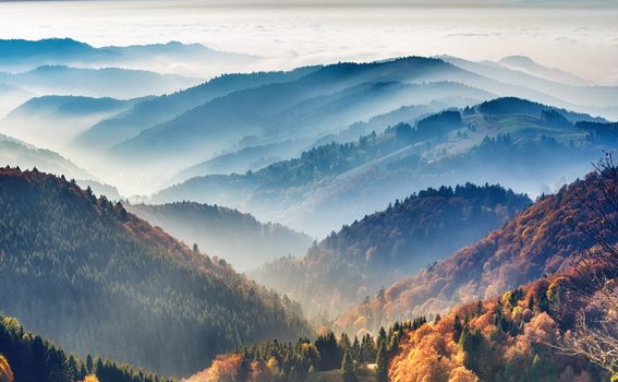 Schwarzwald, Njemačka