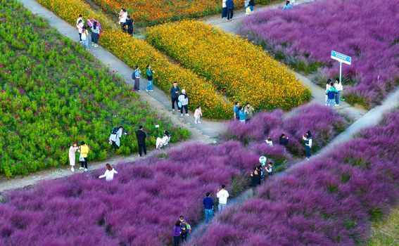 Šumski park Santaishan, Suqian, Kina - 4