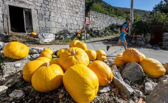 Dubrovnik Spartan Trail - 8