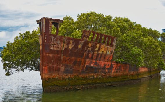 Homebush Bay - 1