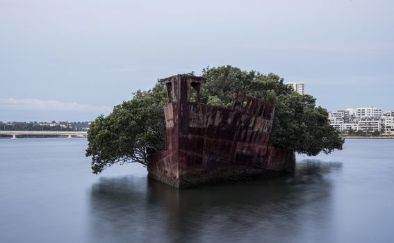 Homebush Bay - 2