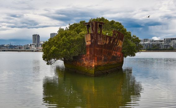 Homebush Bay - 3