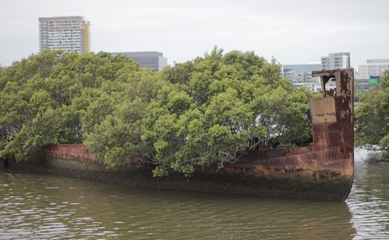 Homebush Bay - 4