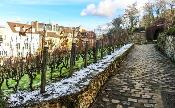 Clos Montmartre - 3