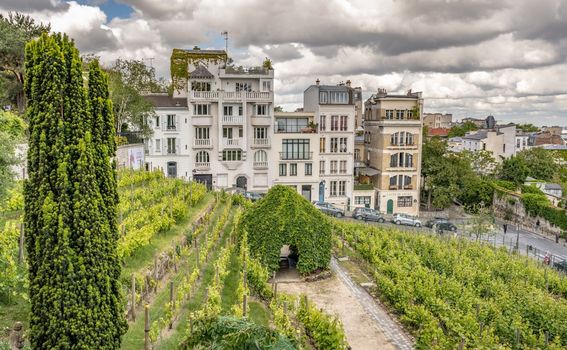 Clos Montmartre - 4