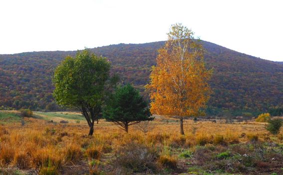 Kosinjska dolina - 9