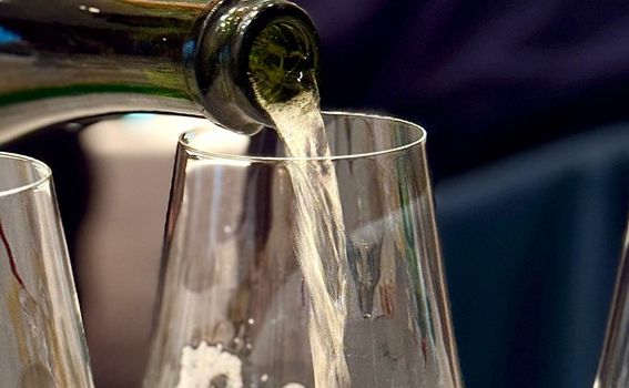 Kušanje i Masterclass na temu sorte plavec žuti - 1