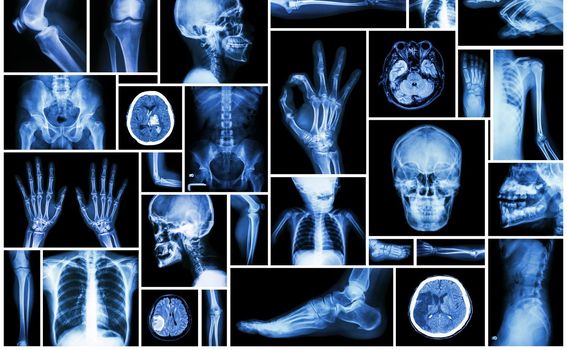 Kviz općeg znanja - 14