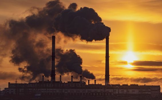 Kviz općeg znanja - 15