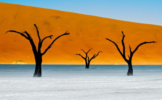 DeadVlei u Namibiji - 2