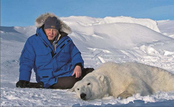 Tijekom snimanja Zamrznutog planeta pratio sam znanstvenike iz Norveškoga polarnog instituta dok su strelicom uspavljivali polarne medvjede iz helikoptera. Istraživanja su tijekom godina pokazala da medvjedi gube na težini jer teško love tuljane na sv