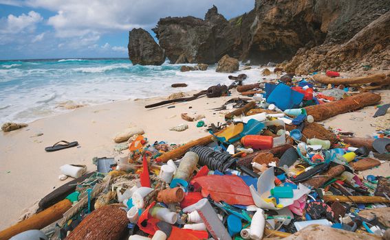 Zagađenje oceana plastikom, kitopsina se hrani u zagađenim vodama i guta plastiku